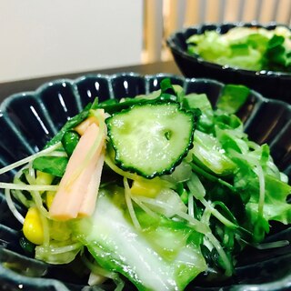 色々野菜とハムの中華風サラダ